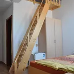 U Zamku